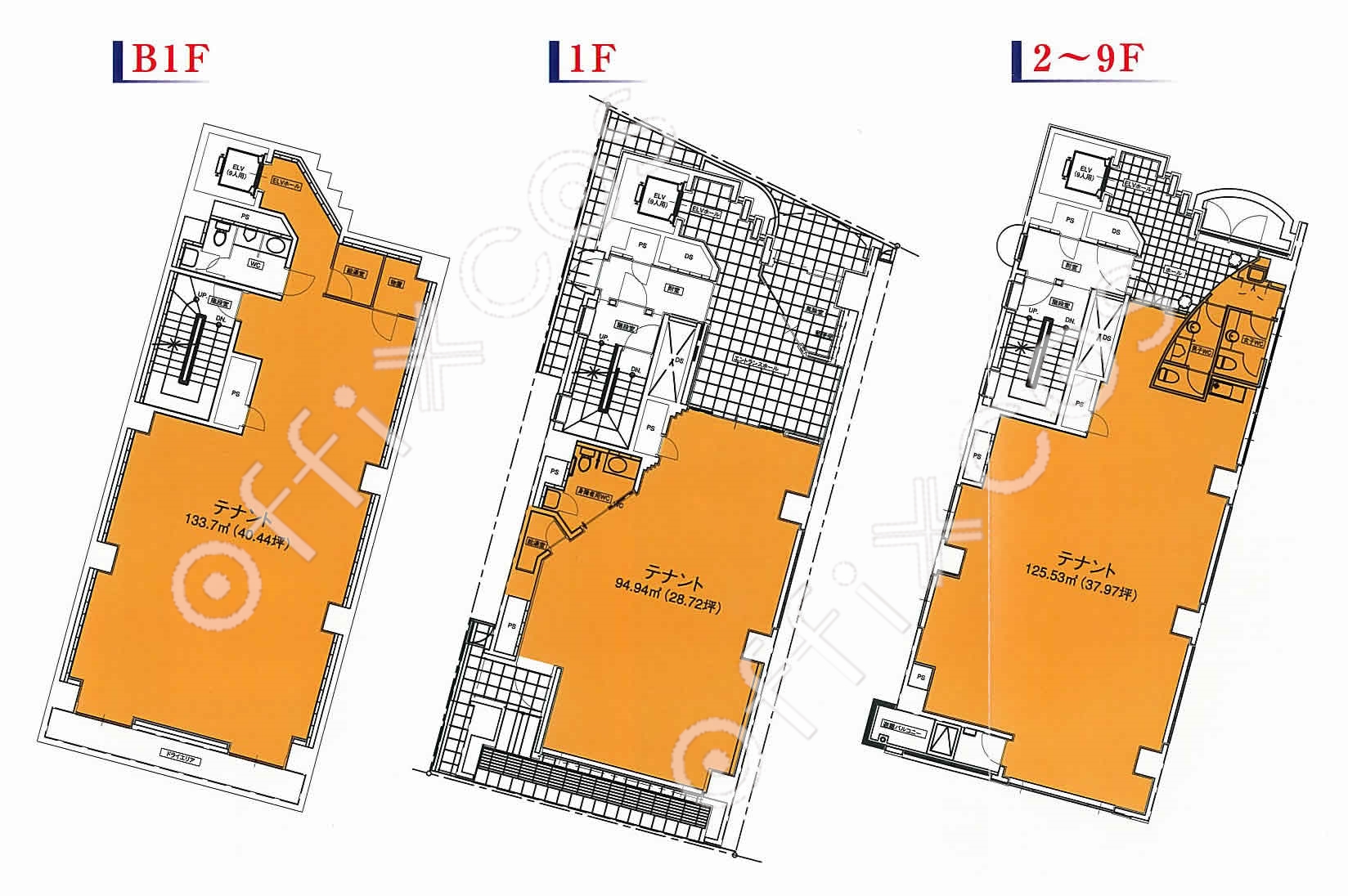 ン・サカエＢＬＤ シーアイマンション南大津