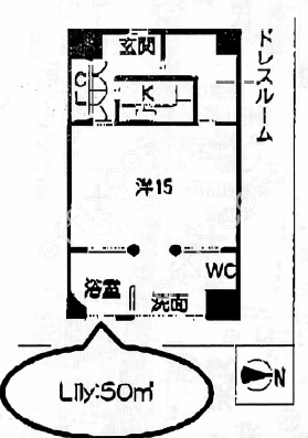 ン・サカエＢＬＤ シーアイマンション南大津